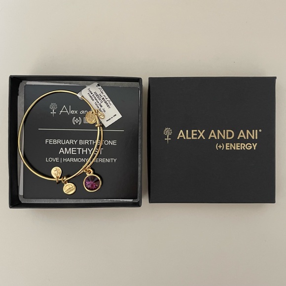 Alex and Ani Jewelry - Alex and Ani Amethyst February Birthstone (+) Energy Charm Bracelet
